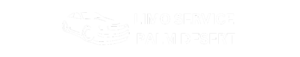limo service palm desert transparent